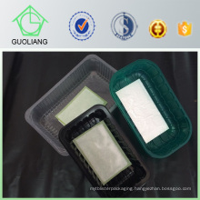 China Manufacturer Supply Biodegradable Frozen Food Packaging Container